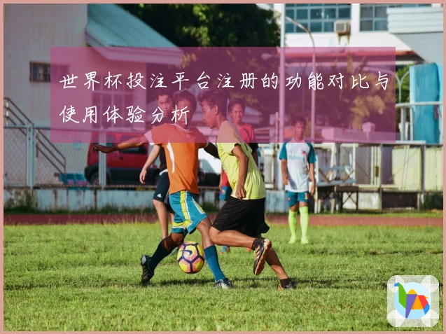 世界杯投注平台注册的功能对比与使用体验分析