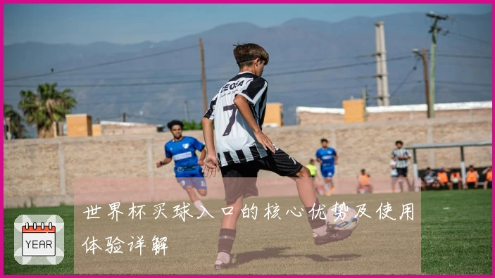 世界杯买球入口的核心优势及使用体验详解