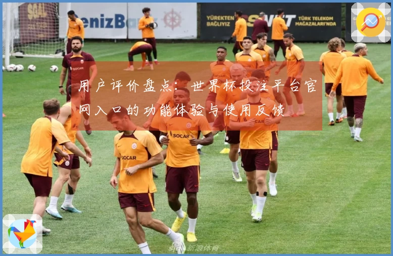 用户评价盘点：世界杯投注平台官网入口的功能体验与使用反馈