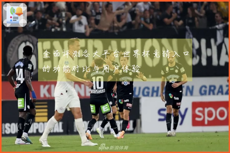 全面评测各大平台世界杯竞猜入口的功能对比与用户体验
