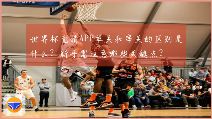 世界杯竞猜APP单关和串关的区别是什么？新手需注意哪些关键点？