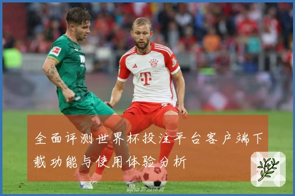全面评测世界杯投注平台客户端下载功能与使用体验分析
