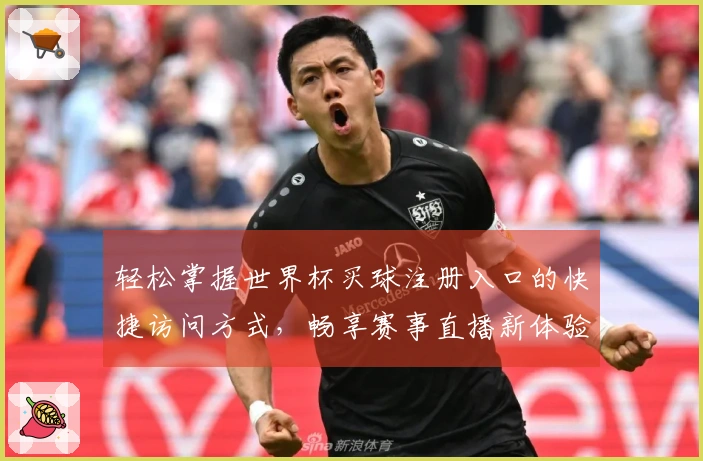 轻松掌握世界杯买球注册入口的快捷访问方式，畅享赛事直播新体验