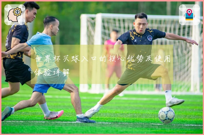 世界杯买球入口的核心优势及使用体验详解