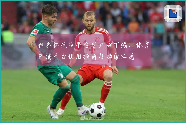 世界杯投注平台客户端下载：体育直播平台使用指南与功能汇总