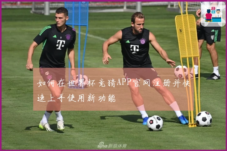 如何在世界杯竞猜APP官网注册并快速上手使用新功能
