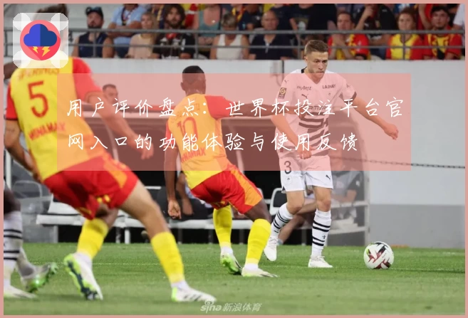 用户评价盘点：世界杯投注平台官网入口的功能体验与使用反馈