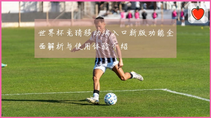 世界杯竞猜移动端入口新版功能全面解析与使用体验介绍
