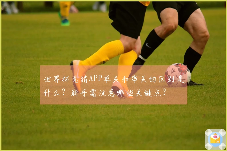 世界杯竞猜APP单关和串关的区别是什么？新手需注意哪些关键点？